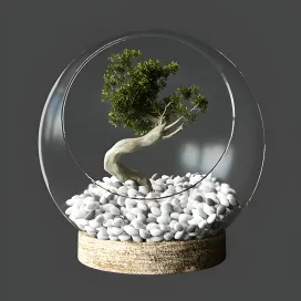 Little tree in glass globe